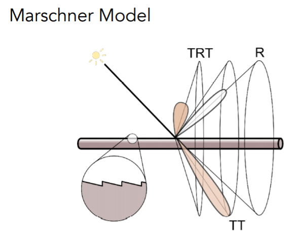Marschner