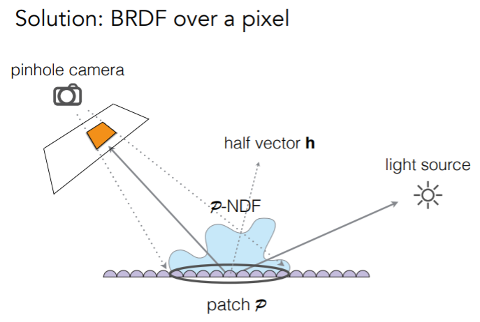 P NDF2