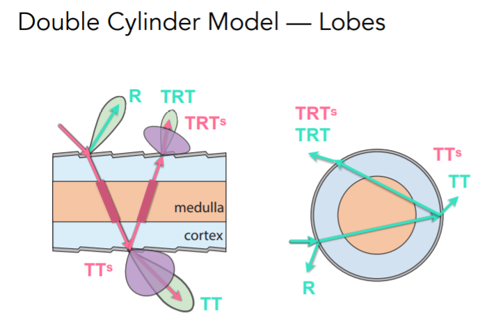 double cylinder