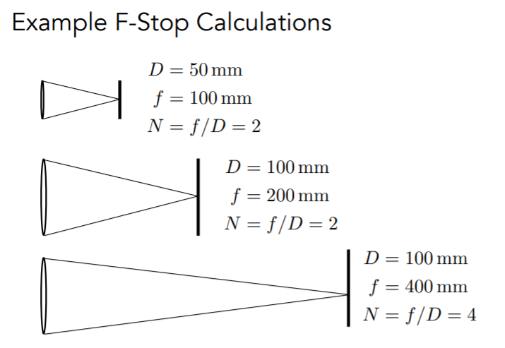 F数1